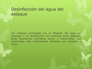 Desinfección del agua del
estaque



Los métodos principales son la filtración del agua del
estanque o su desinfección con químicos (cloro gaseoso,
ácido hipocloroso, formalina, ozono, o insecticidas). Los
insecticidas más comúnmente utilizados son Dipterex y
Sevin.
 