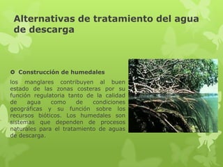 Alternativas de tratamiento del agua
 de descarga



 Construcción de humedales
los manglares contribuyen al buen
estado de las zonas costeras por su
función regulatoria tanto de la calidad
de    agua    como     de   condiciones
geográficas y su función sobre los
recursos bióticos. Los humedales son
sistemas que dependen de procesos
naturales para el tratamiento de aguas
de descarga.
 
