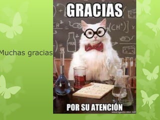 Muchas gracias
 