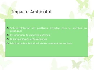 Impacto Ambiental


 Sobreexplotación de postlarva silvestre para la siembra en
  estanques
 Introducción de especies exóticas
 Diseminación de enfermedades
 Pérdida de biodiversidad en los ecosistemas vecinos
 