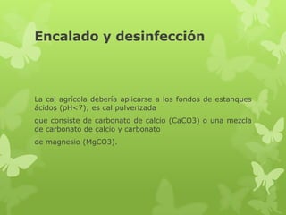 Encalado y desinfección



La cal agrícola debería aplicarse a los fondos de estanques
ácidos (pH<7); es cal pulverizada
que consiste de carbonato de calcio (CaCO3) o una mezcla
de carbonato de calcio y carbonato
de magnesio (MgCO3).
 