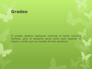 Gradeo




El gradeo debería realizarse mientras el fondo continua
húmedo, pero lo bastante secos como para soportar el
tractor y evitar que sus huellas formen senderos.
 