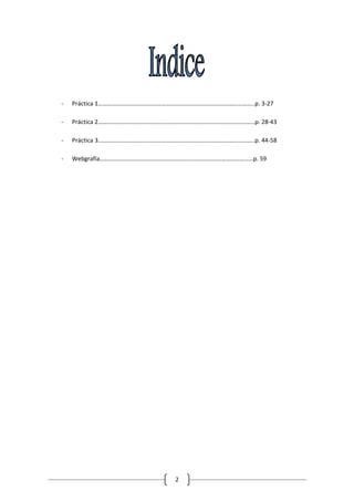-   Práctica 1…………………………………………………………………………………………..p. 3-27

-   Práctica 2…………………………………………………………………………………………..p. 28-43

-   Práctica 3…………………………………………………………………………………………..p. 44-58

-   Webgrafía…………………………………………………………………………………………p. 59




                               2
 