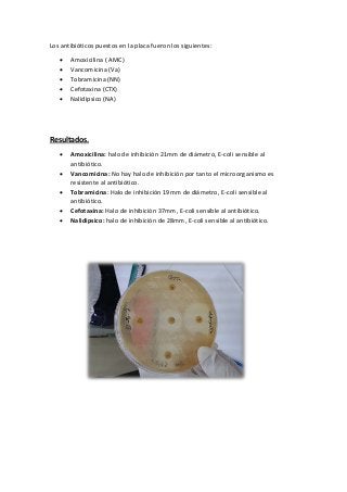 Los antibióticos puestos en la placa fueron los siguientes:
 Amoxicilina ( AMC)
 Vancomicina (Va)
 Tobramicina (NN)
 Cefotaxina (CTX)
 Nalidipsico (NA)
Resultados.
 Amoxicilina: halo de inhibición 21mm de diámetro, E-coli sensible al
antibiótico.
 Vancomicina: No hay halo de inhibición por tanto el microorganismo es
resistente al antibiótico.
 Tobramicina: Halo de inhibición 19mm de diámetro, E-coli sensible al
antibiótico.
 Cefotaxina: Halo de inhibición 37mm, E-coli sensible al antibiótico.
 Nalidipsico: halo de inhibición de 28mm, E-coli sensible al antibiótico.
 