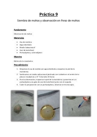 Práctica 9
Siembra de mohos y observación en freso de mohos
Fundamento
Observación de mohos
Materiales
 Asa de siembra
 Agua destilada
 Medio Saboureaud
 Azul de lactofenol
 Portaobjetos y cubreobjetos
Muestra
Mohos de la mandarina
Procedimiento
1. Mojamos el asa de siembra en agua destilada y raspamos la piel de la
mandarina.
2. Sembramos en medio saboureaud pinchado con cuidado en el centro de la
placa e incubamos a 37 ˚C durante 24 horas
3. Para la observación, raspamos la piel de la mandarina y ponemos en un
portaobjetos una gota de azul de lactofenol junto con el raspado.
4. Cubrir la preparación con un portaobjetos y observar al microscopio.
 