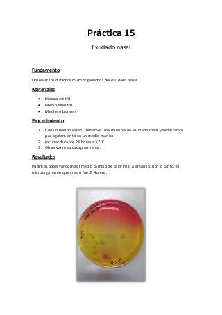 Práctica 15
Exudado nasal
Fundamento
Observar los distintos microorganismos del exudado nasal
Materiales
 Hisopo estéril
 Medio Manitol
 Mechero bunsen
Procedimiento
1. Con un hisopo estéril tomamos una muestra de exudado nasal y sembramos
por agotamiento en un medio manitol
2. Incubar durante 24 horas a 37 ˚C
3. Observar macroscópicamente.
Resultados
Pudimos observar como el medio cambió de color rojo a amarillo, por lo tanto, el
microorganismo que creció fue S. Aureus.
 