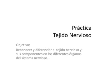 Práctica
                        Tejido Nervioso
Objetivo:
Reconocer y diferenciar el tejido nervioso y
sus componentes en los diferentes órganos
del sistema nervioso.
 