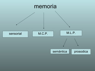 memoria sensorial M.C.P. M.L.P. semántica prosodica 