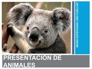 PRESENTACIÓN DE 
ANIMALES 
MARIA ESTEFAANIA LINO CUELLAR 
 
