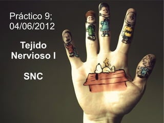 Práctico 9;
04/06/2012

 Tejido
Nervioso I

   SNC
 