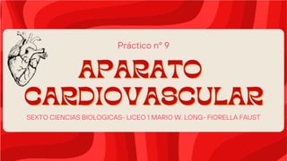 APARATO
APARATO
CARDIOVASCULAR
CARDIOVASCULAR
Práctico nº 9
SEXTO CIENCIAS BIOLOGICAS- LICEO 1 MARIO W. LONG- FIORELLA FAUST
 