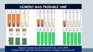 Curso Práctico de Laboratorio leche cruda.pdf