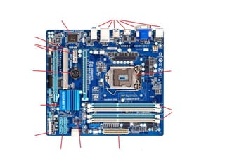 Práctico motherboard
