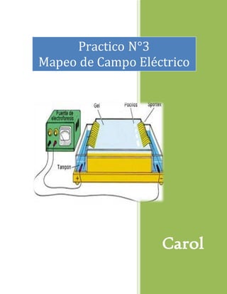 Carol
Practico N°3
Mapeo de Campo Eléctrico
 
