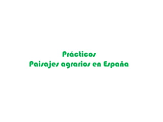 Prácticos
Paisajes agrarios en España
 