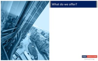 C o n s u l t i n g
What do we offer?
 