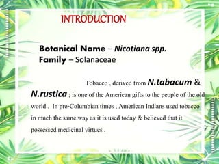 botanical name for tobacco Tobacco ( Nicotiana spp. )