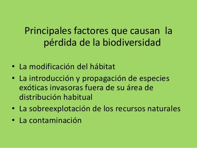 Perdida De La Biodiversidad
