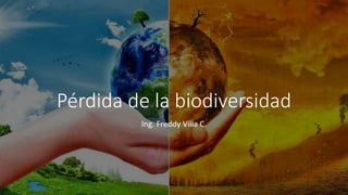 Pérdida de la biodiversidad
Ing. Freddy Villa C.
 