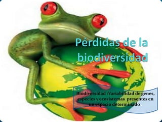 Pérdidas de la biodiversidad Biodiversidad :Variabilidad de genes, especies y ecosistemas  presentes en un espacio determinado . 