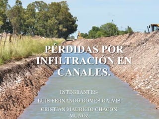 PÉRDIDAS POR
INFILTRACIÓN EN
CANALES.
INTEGRANTES:
LUIS FERNANDO GOMES GALVIS
CRISTIAN MAURICIO CHACON
MUÑOZ
 