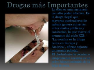 La coca es una sustancia
con alto poder adictivo. Es
la droga ilegal que
mayores quebraderos de
cabeza genera entre las
autoridades públicas y
sanitarias, la que marca el
arranque del siglo XXI.
"La cocaína es la droga
reina en Europa y
América", afirma tajante
un mando policial.
El clorhidrato de cocaína o
simplemente cocaína es un
polvo blanco extraído de la
hoja de coca.
 