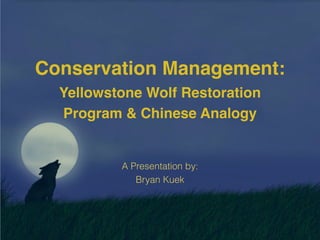 Conservation Management:
Yellowstone Wolf Restoration
Program & Chinese Analogy
A Presentation by:
Bryan Kuek
 