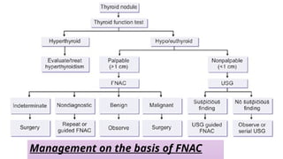 Management on the basis of FNAC
 