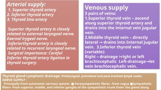 Arterial supply:
1. Superior thyroid artery
2. Inferior thyroid artery
3. Thyroid Ima artery
Superior thyroid artery is closely
related to external laryngeal nerve.
Exernal lrygeal nerve.
Inferiorthyroid artery is closely
related to recurrent laryngeal nerve.
Surgical importance: Careful
Inferior thyroid artery ligation in
thyroid surgery.
Venous supply
3 pairs of veins:
1.Superior thyroid vein – ascend
along superior thyroid artery and
drains into the internal vein jugular
vein.
2.Middlle thyroid vein – directly
lateral drains into Internal jugular
→
vein. 3.Inferior thyroid vein
(variable):
Right – drainage >right or left
brachiocephalic Left-drainage let
→
vein brachiocephalic vein.
Thyroid gland Lymphatic drainage: Prelaryngeal, pretraheal and para-tracheal lymph nodes.
NERVE SUPPLY :
Principally from autonomic nervous system. Parasympathetic fibres –from vagus Sympathetic
■ ■
fibers -from superior, middle, and inferior ganglia of the sympathetic trunk Enter the gland along
 
