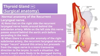 Thyroid Gland ￼:
(Surgical anatomy)
Normal anatomy of the Recurrent
Laryngeal nerve.
A) Note that on the right side the recurrent
laryngeal nerve hooks around behind the
subclavian artery. While on the left side this nerve
passes around behind the aortic arch before
ascending in the neck.
B) When there is a vascular anomaly of the right
subclavian artery, the recurrent laryngeal nerve no
longer “recurs” around this artery but proceeds
from the vagus nerve in a more transverse
direction to the larynx. In such a situation, the
nerve is much more likely to be damaged during
 