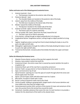 Oral Anatomy Terminology | PDF