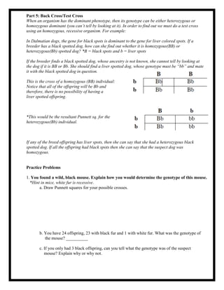 Part 5: Back Cross/Test Cross
When an organism has the dominant phenotype, then its genotype can be either heterozygous or
homozygous dominant (you can’t tell by looking at it). In order to find out we must do a test cross
using an homozygous, recessive organism. For example:
In Dalmatian dogs, the gene for black spots is dominant to the gene for liver colored spots. If a
breeder has a black spotted dog, how can she find out whether it is homozygous(BB) or
heterozygous(Bb) spotted dog? *B = black spots and b = liver spots
If the breeder finds a black spotted dog, whose ancestry is not known, she cannot tell by looking at
the dog if it is BB or Bb. She should find a liver spotted dog, whose genotype must be “bb” and mate
it with the black spotted dog in question.
This is the cross of a homozygous (BB) individual:
Notice that all of the offspring will be Bb and
therefore, there is no possibility of having a
liver spotted offspring.
*This would be the resultant Punnett sq. for the
heterozygous(Bb) individual.
If any of the breed offspring has liver spots, then she can say that she had a heterozygous black
spotted dog. If all the offspring had black spots then she can say that the suspect dog was
homozygous.
Practice Problems
1. You found a wild, black mouse. Explain how you would determine the genotype of this mouse.
*Hint in mice, white fur is recessive.
a. Draw Punnett squares for your possible crosses.
b. You have 24 offspring, 23 with black fur and 1 with white fur. What was the genotype of
the mouse? __________
c. If you only had 3 black offspring, can you tell what the genotype was of the suspect
mouse? Explain why or why not.
 