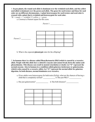 1. In pea plants, the round seed allele is dominant over the wrinkled seed allele, and the yellow
seed allele is dominant over the green seed allele. The genes for seed texture and those for seed
color are on different chromosomes. A plant heterozygous for seed texture and seed color is
crossed with a plant that is wrinkled and heterozygous for seed color.
*R = round, r = wrinkled, Y=yellow, y = green
a. Construct a Punnett square for this cross.
Parent 1: ______________
b. What is the expected phenotypic ratio for the offspring?
2. In humans there is a disease called Phenylketonuria (PKU)which is caused by a recessive
allele. People with this allele have a defective enzyme and cannot break down the amino acid
phenylalanine. This disease can result in mental retardation or death. Let “E” represent the
normal enzyme. Also in humans in a condition called galactose intolerance or galactosemia,
which is also caused by a recessive allele. Let “G” represent the normal allele for galactose
digestion. In both diseases, normal dominates over recessive.
a. If two adults were heterozygous for both traits (EeGg), what are the chances of having a
child that is completely normal? _____________ b. Has just PKU? _____________
c. Has just galactosemia? _____________ d. Has both diseases? _____________
Parent 2: __________
 