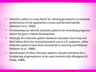 Pre breeding in maize | PPT