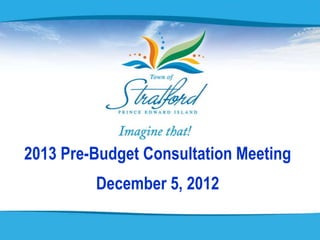 2013 Pre-Budget Consultation Meeting
         December 5, 2012
 