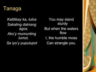 Tanaga You may stand sturdy  But when the waters flow I, the humble moss Can strangle you. Katitibay ka, tulos Sakaling datnang agos, Ako’y mumunting lumot, Sa iyo’y pupulupot 