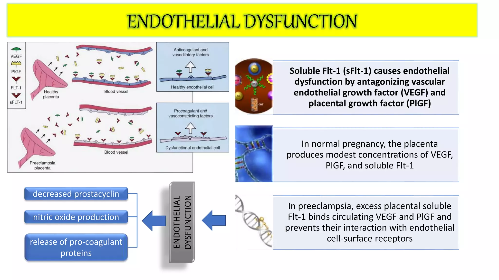 pathogenesis of Pre eclampsia | PPTX