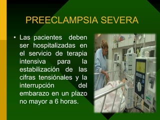 Tensión arterial cada 4 horas