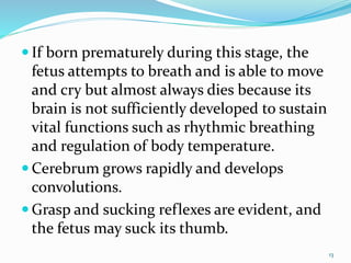  If born prematurely during this stage, the
fetus attempts to breath and is able to move
and cry but almost always dies because its
brain is not sufficiently developed to sustain
vital functions such as rhythmic breathing
and regulation of body temperature.
 Cerebrum grows rapidly and develops
convolutions.
 Grasp and sucking reflexes are evident, and
the fetus may suck its thumb.
13
 