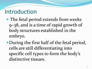 Introduction
 The fetal period extends from weeks
9–38, and is a time of rapid growth of
body structures established in the
embryo.
During the first half of the fetal period,
cells are still differentiating into
specific cell types to form the body’s
distinctive tissues.
3
 