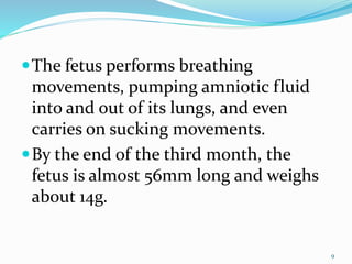 The fetus performs breathing
movements, pumping amniotic fluid
into and out of its lungs, and even
carries on sucking movements.
By the end of the third month, the
fetus is almost 56mm long and weighs
about 14g.
9
 