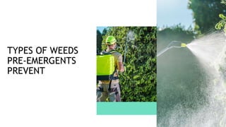 TYPES OF WEEDS
PRE-EMERGENTS
PREVENT
 