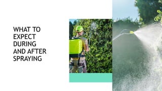 WHAT TO
EXPECT
DURING
AND AFTER
SPRAYING
 