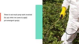 There is not much prep work involved
for you when we come to apply
pre-emergent sprays.
 