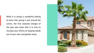 While it is always a wonderful feeling
to know that spring is just around the
corner, the first seasonal changes of
the year also mean that it is time to
increase your efforts at keeping weeds
out of your lawn and garden areas.
 