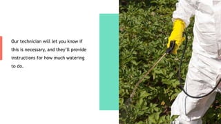 Our technician will let you know if
this is necessary, and they’ll provide
instructions for how much watering
to do.
 