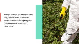 The application of pre-emergent weed
sprays should always be done with
caution to avoid disrupting the growth
cycle of desirable plants in your
landscaping.
 