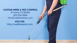 Pre-Emergent Weed Spraying - It's That Time Again