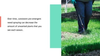Over time, consistent pre-emergent
weed spraying can decrease the
amount of unwanted plants that you
see each season.
 
