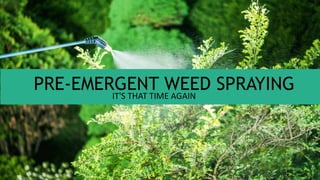 PRE-EMERGENT WEED SPRAYINGIT'S THAT TIME AGAIN
 